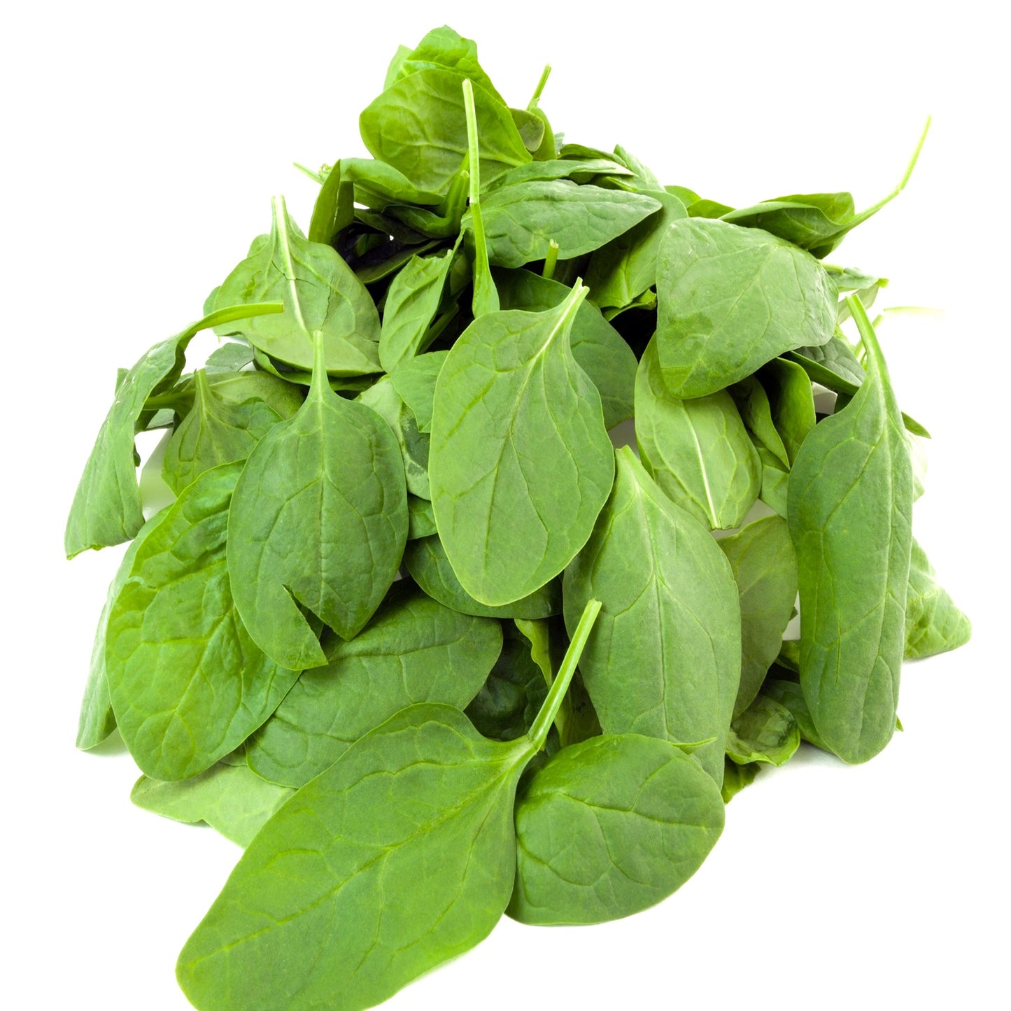 Organic Baby Spinach 125g