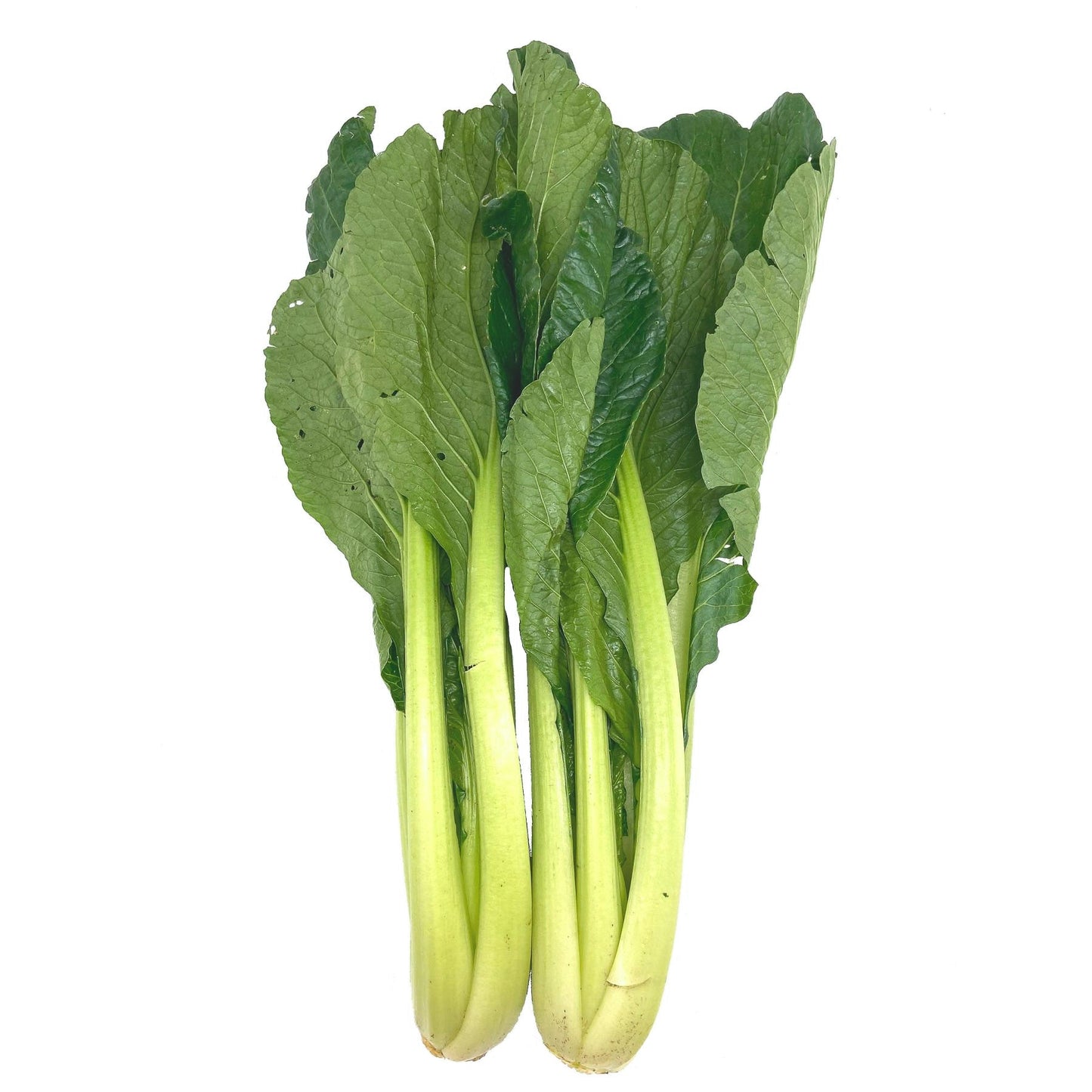 Organic Japanese Komatsuna 200g