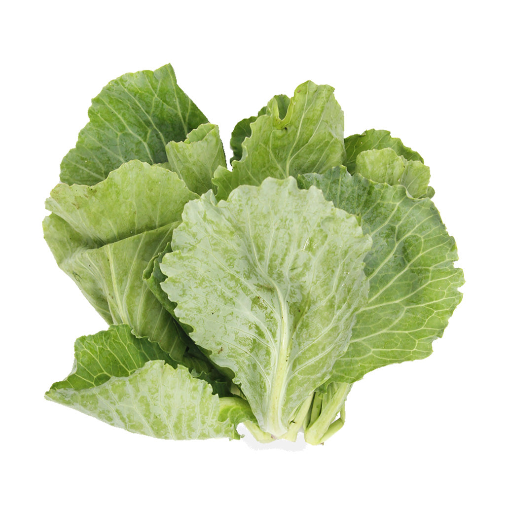 Organic Baby Kailan 200g