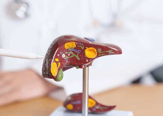 Why You Should Care About Your Liver and How to Keep It Happy