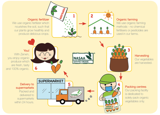 We are Certified Organic!