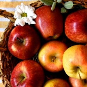Best Organic Apples from the Alps