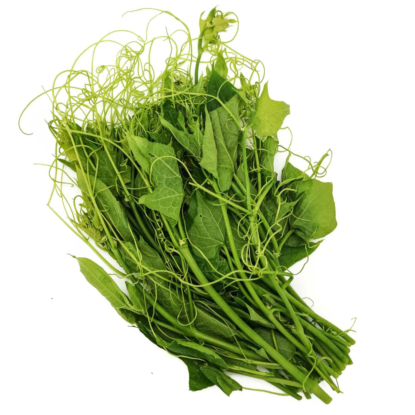 Organic Chayote Shoot 250g