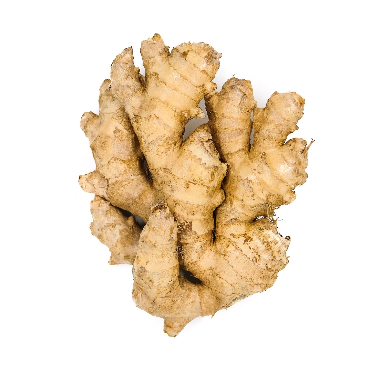 Organic Ginger 100g