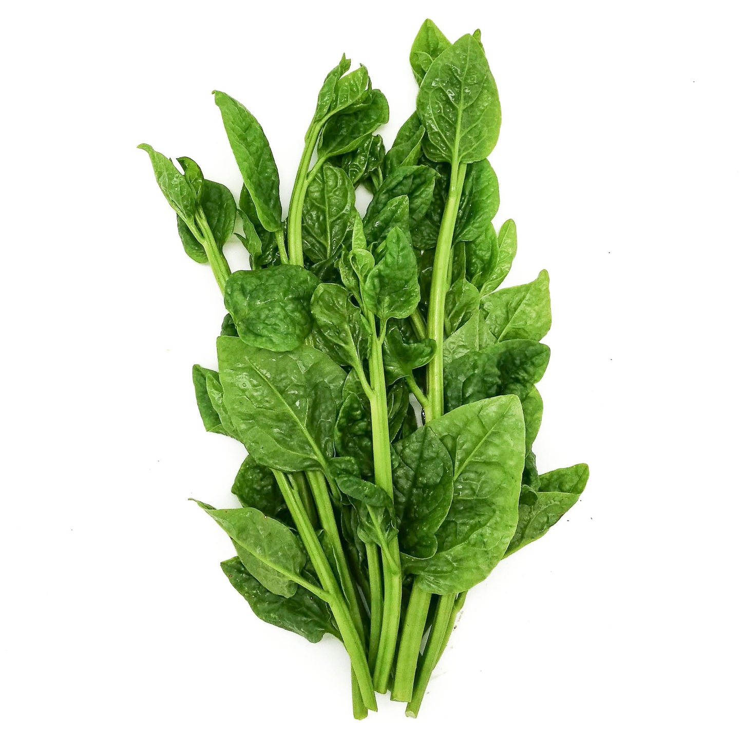 Organic New Zealand Spinach 200g