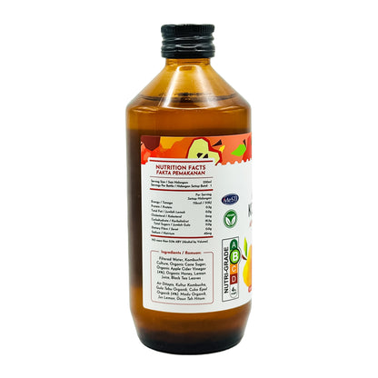 Apple Cider Vinegar Kombucha 250ml