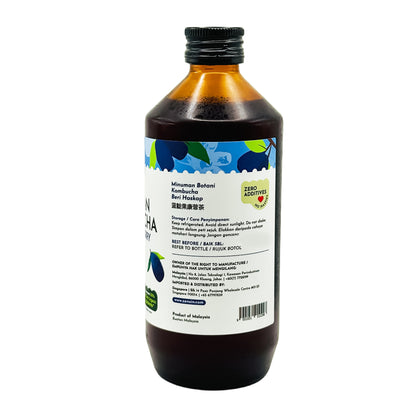Haskap Berry Kombucha 250ml