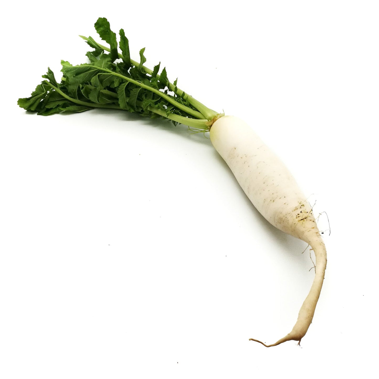 Organic Radish 350g