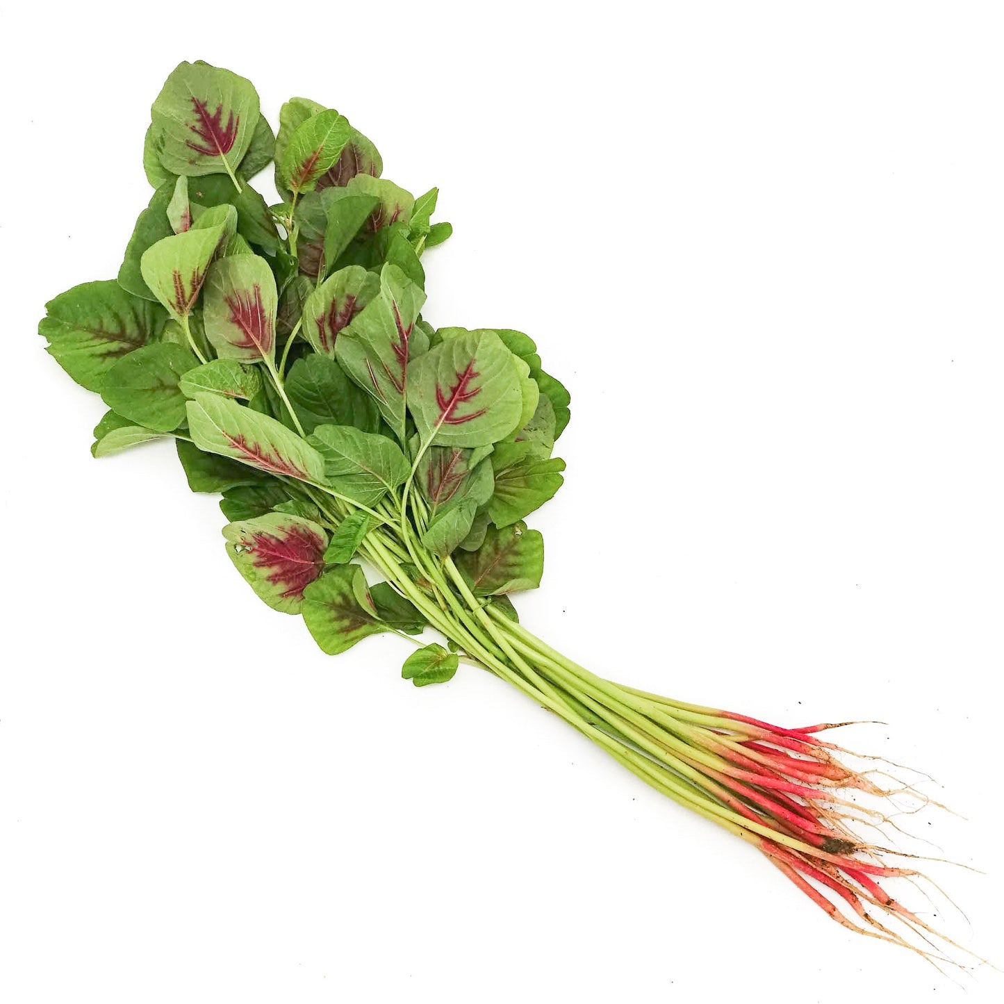 Organic Red Chinese Spinach 200g