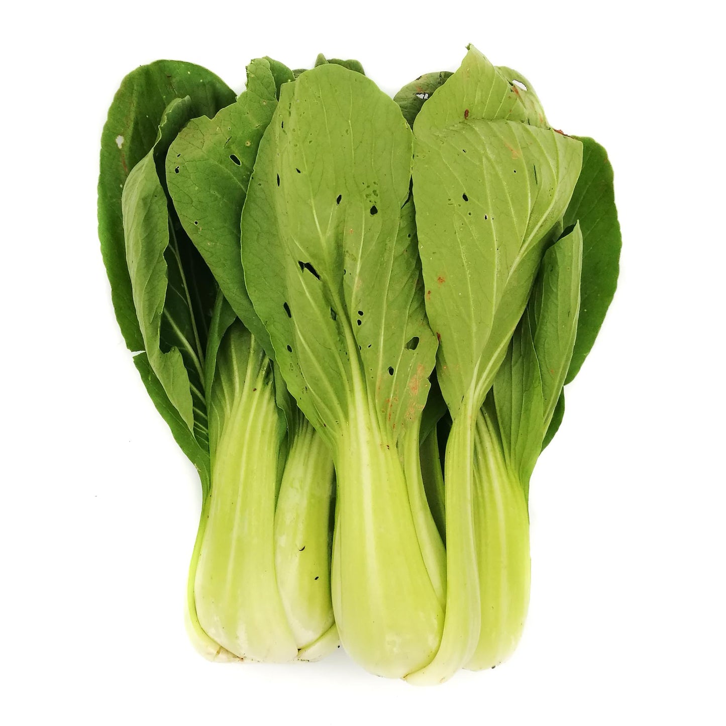 Organic Siew Pak Choy 200g