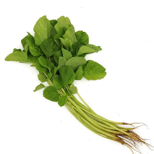 Organic Green Chinese Spinach 200g