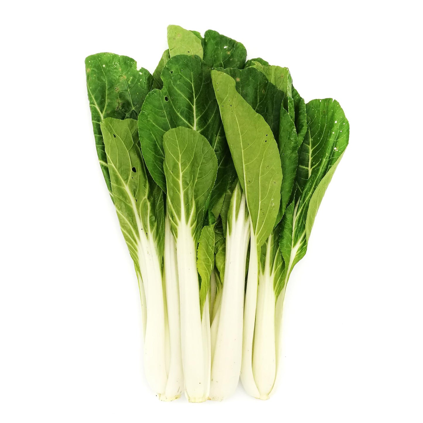 Organic Sweet Pak Choy 200g